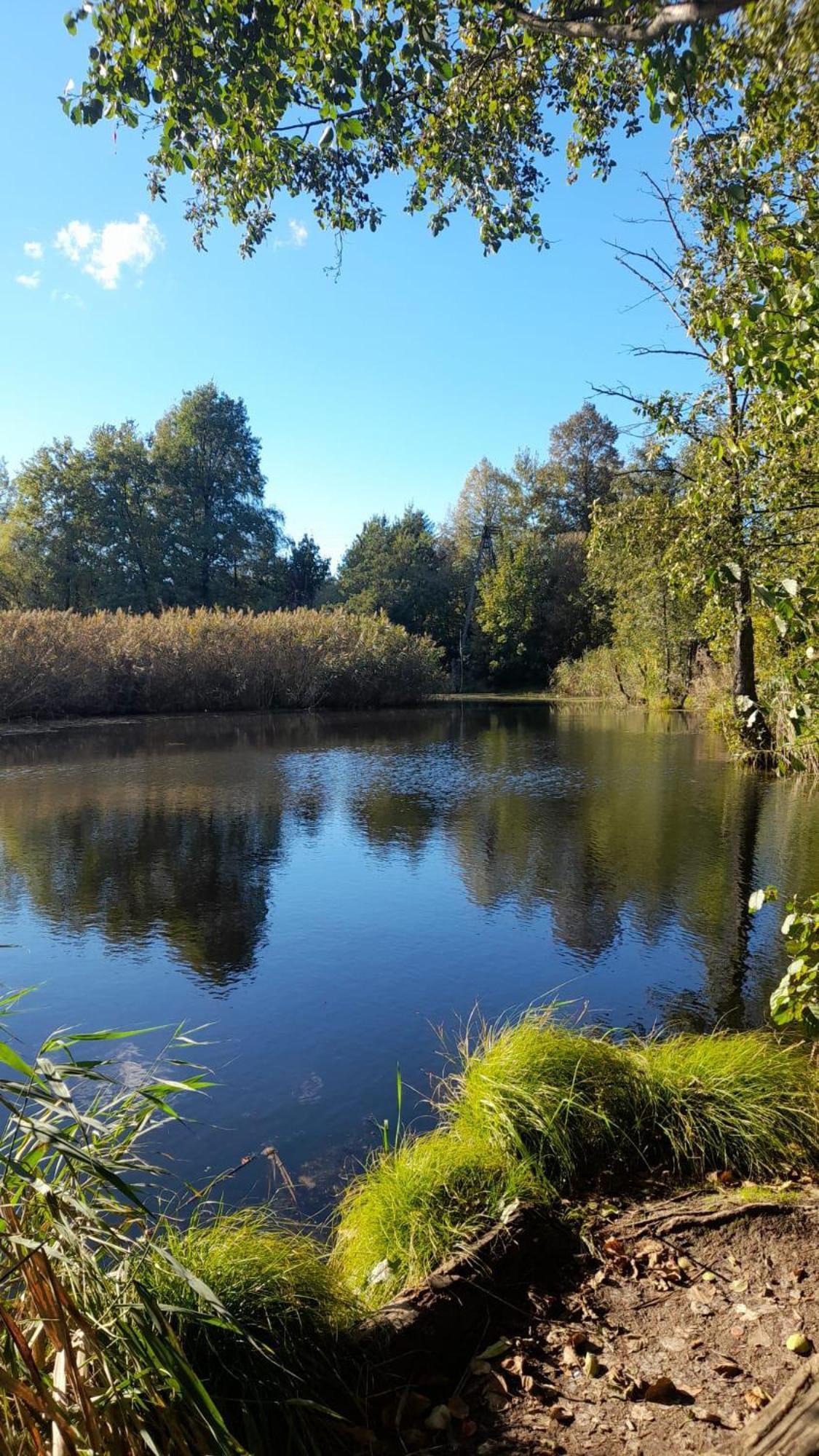 Osada Pod Lasem Andrychów Esterno foto