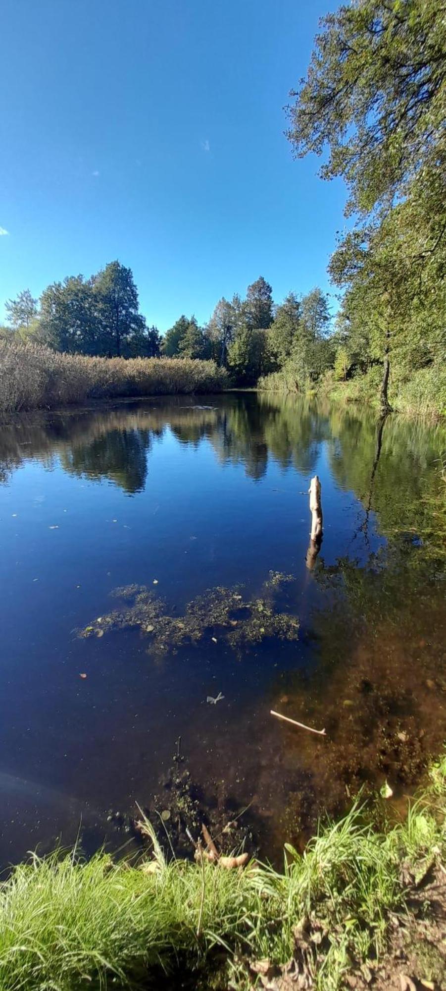 Osada Pod Lasem Andrychów Esterno foto