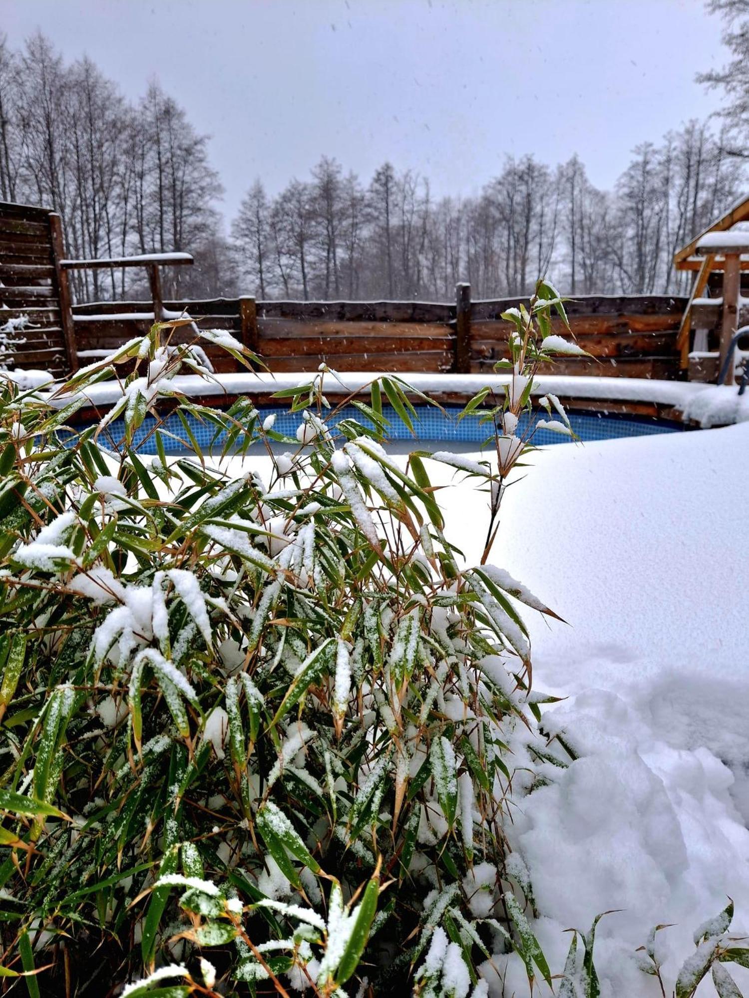 Osada Pod Lasem Andrychów Esterno foto